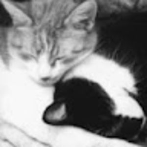 Meet your Posher, Billie